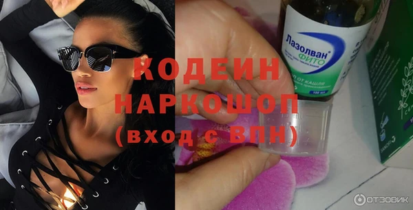 индика Абаза