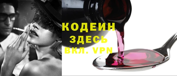 индика Абаза