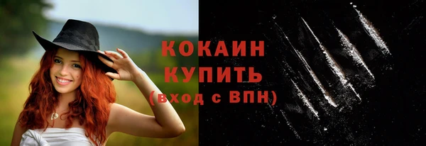 стаф Абинск