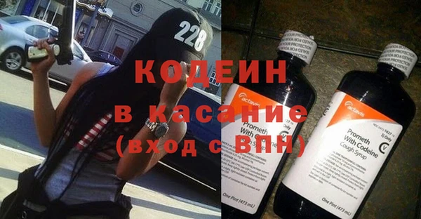 индика Абаза