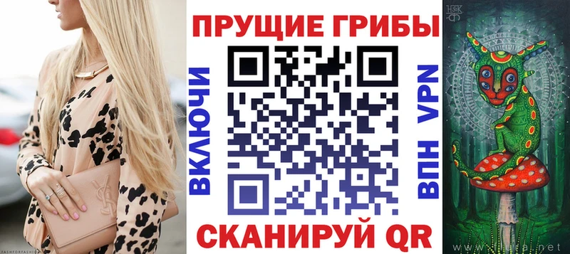 Галлюциногенные грибы мухоморы  где купить   мега   Катав-Ивановск 